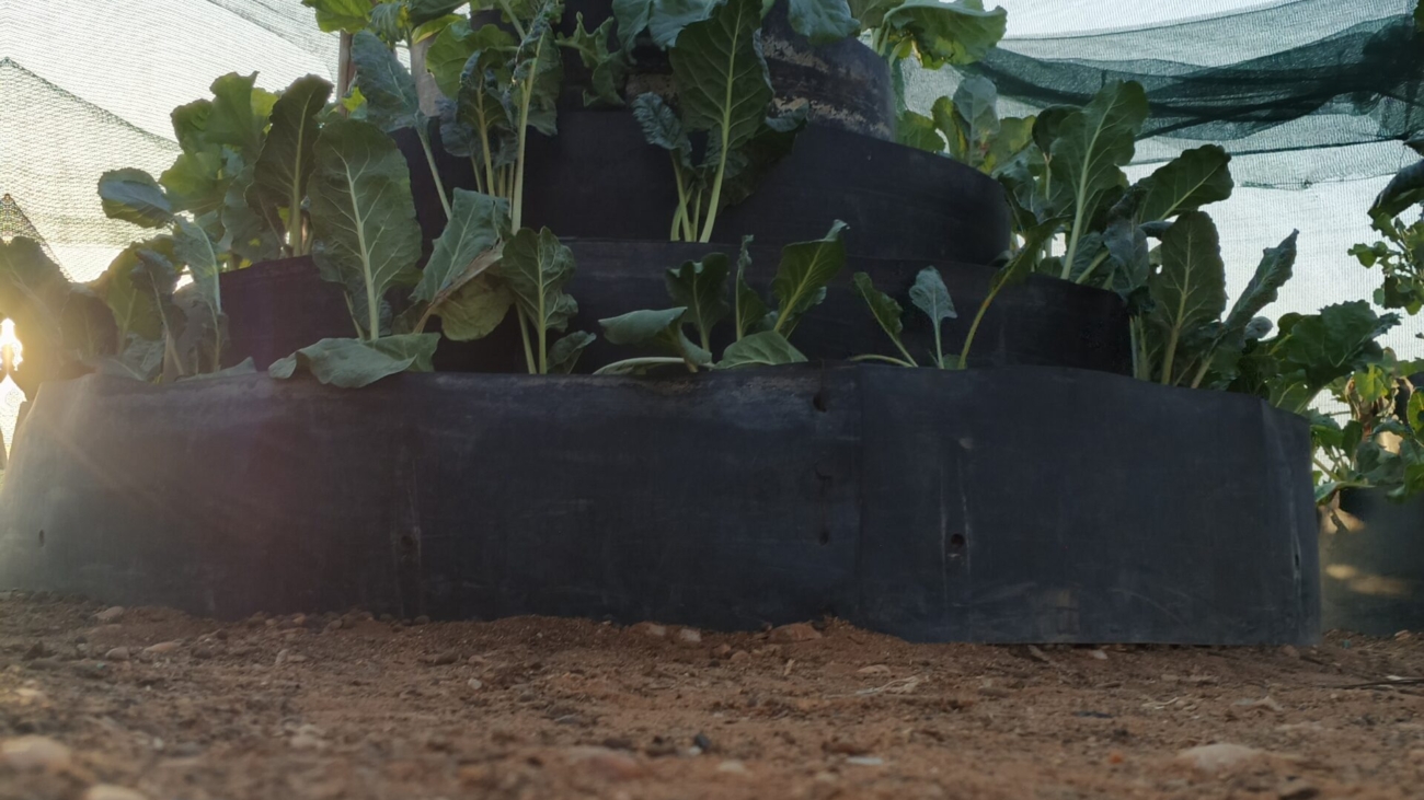 Multi-Storey Gardens In Kenya
