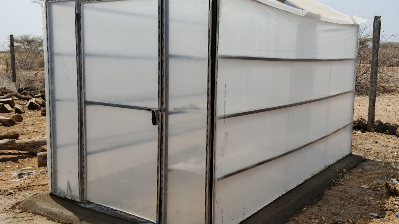 solar dryers in Kenya