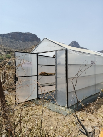 solar dryer