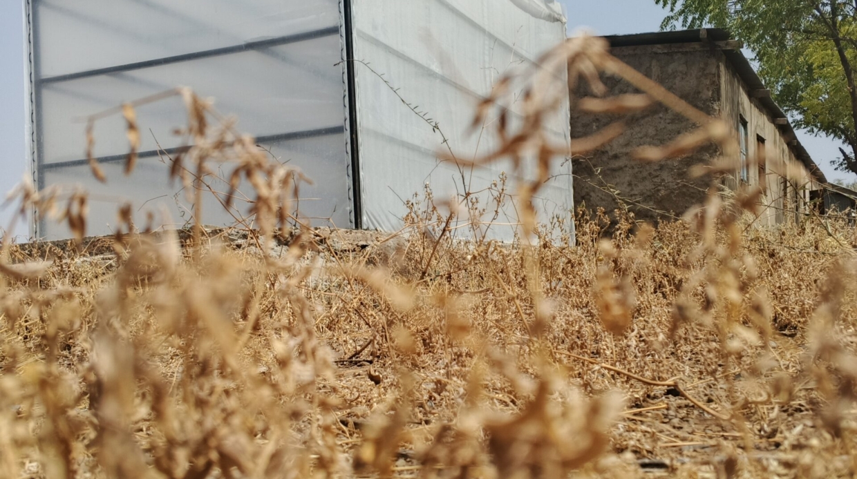 solar dryer for agricultural products