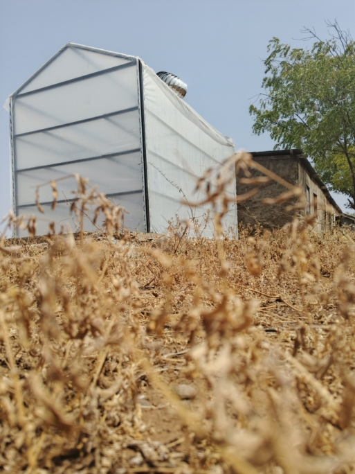 solar dryer for agricultural products