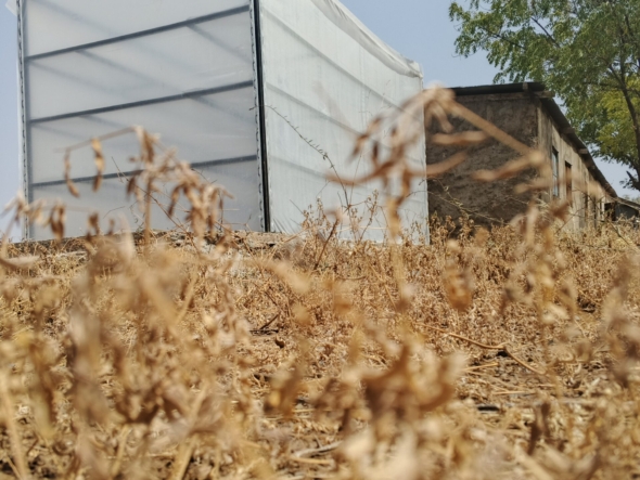 solar dryer for agricultural products