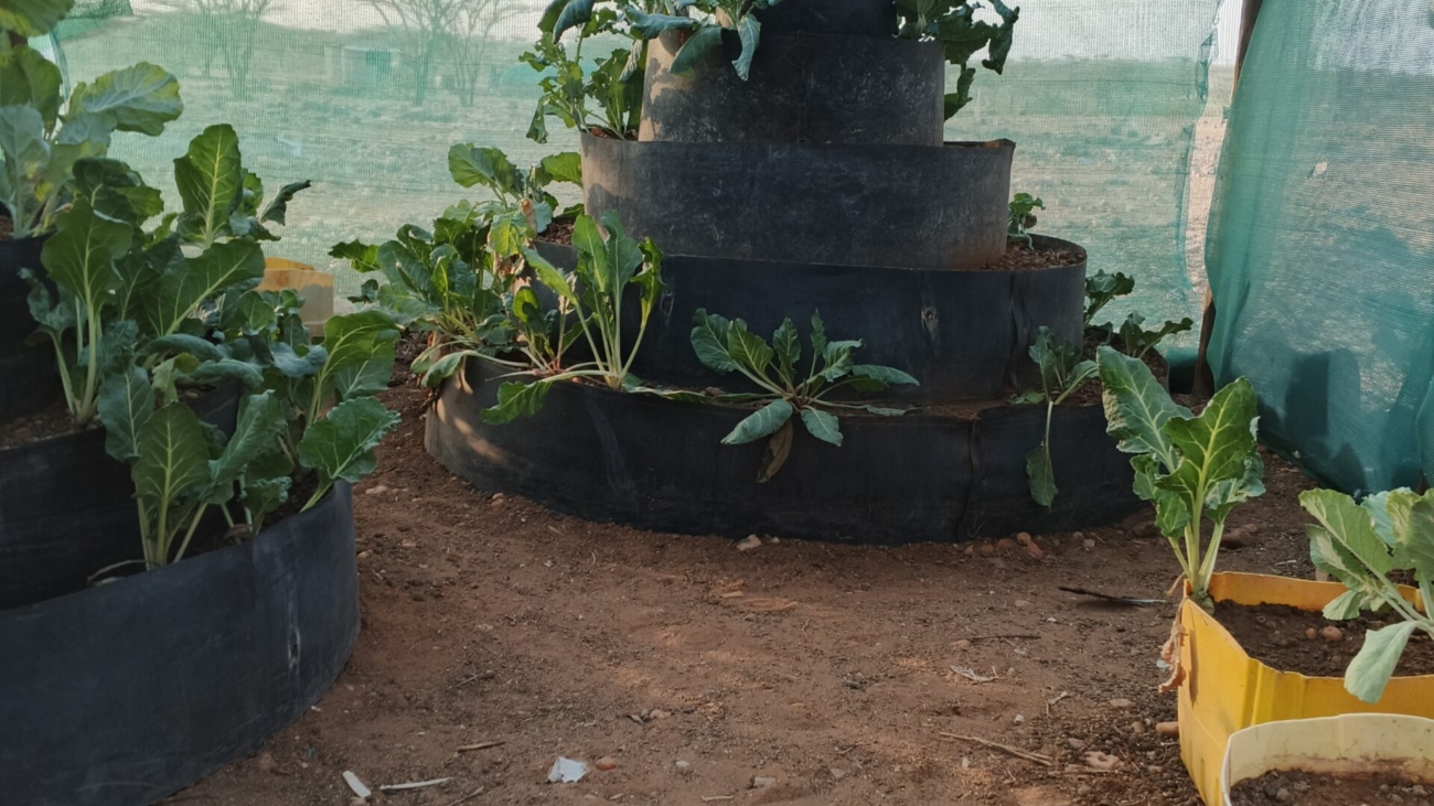 cone gardens price in kenya